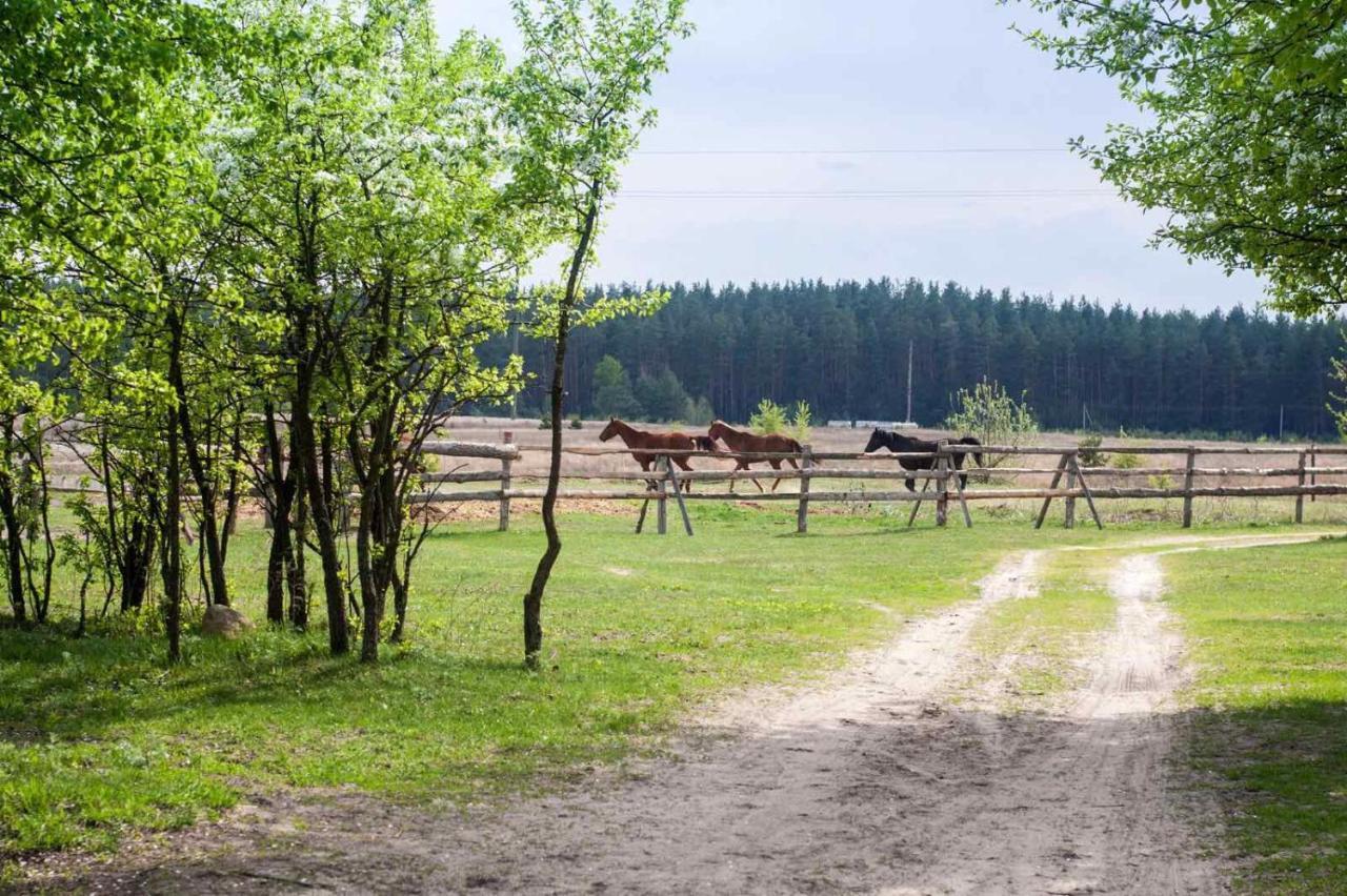 Bila Krynytsia Eco Dom V Lesuゲストハウス エクステリア 写真